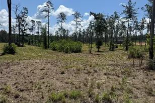 081 Private Road 6026, Brookeland, TX 75931 - Photo 1