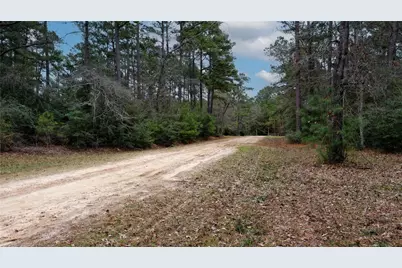 Tbd Lone Star Road, Navasota, TX 77868 - Photo 3