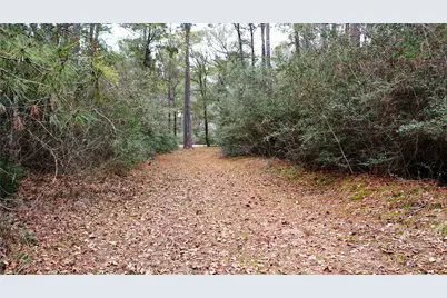 Tbd Lone Star Road, Navasota, TX 77868 - Photo 9