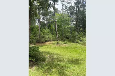 Tbd Lone Star Road, Navasota, TX 77868 - Photo 5