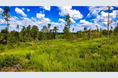 001 Buddy Lloyd Rd, Livingston, TX 77351 - Photo 9