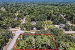 21518 Rezanof Rd, Humble, TX 77338 - Photo 39