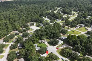 16474 Spring Rain Ct, Conroe, TX 77302 - Photo 47
