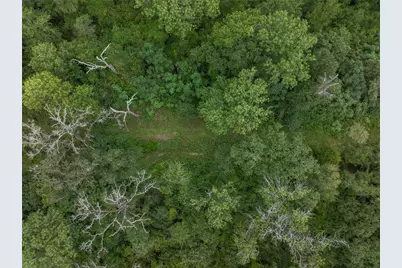 Tbd West Caney Road, Normangee, TX 77871 - Photo 13