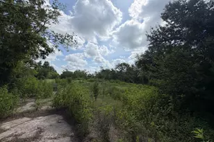 15821 Hwy 36, Needville, TX 77461 - Photo 7