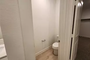 30622 Wicklow Gdns Dr, Fulshear, TX 77441 - Photo 19