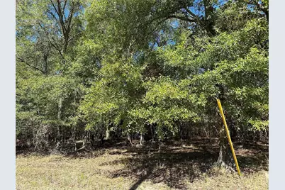 Tbd Somerset Trail Road, Point Blank, TX 77364 - Photo 5