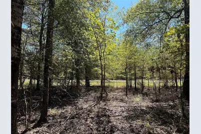 Tbd Somerset Trail Road, Point Blank, TX 77364 - Photo 9