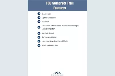 Tbd Somerset Trail Road, Point Blank, TX 77364 - Photo 3