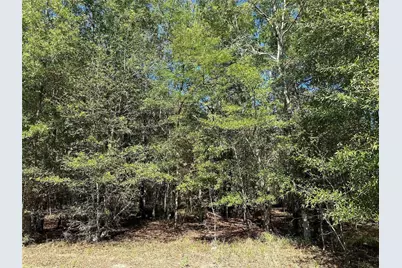 Tbd Somerset Trail Road, Point Blank, TX 77364 - Photo 19