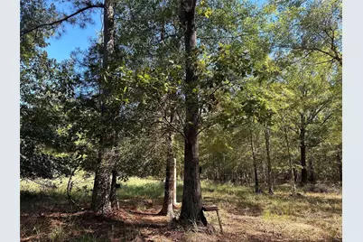 Tbd Somerset Trail Road, Point Blank, TX 77364 - Photo 15