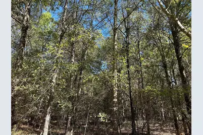 Tbd Somerset Trail Road, Point Blank, TX 77364 - Photo 17