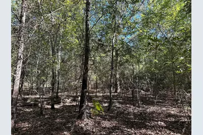 Tbd Somerset Trail Road, Point Blank, TX 77364 - Photo 11