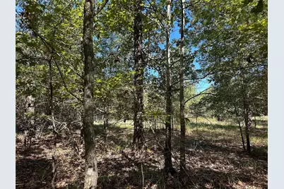 Tbd Somerset Trail Road, Point Blank, TX 77364 - Photo 13