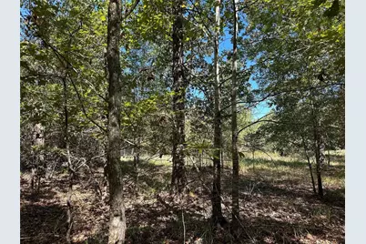 Tbd Somerset Trail Road, Point Blank, TX 77364 - Photo 13