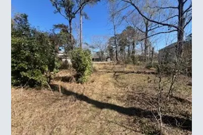 Tbd Apple Tree, Livingston, TX 77351 - Photo 5