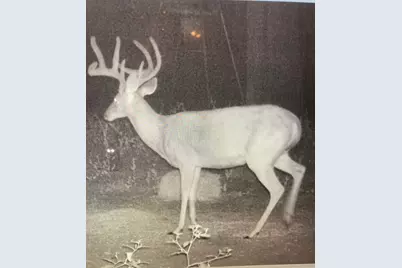 5397 Highway 21 W, Nacogdoches, TX 75964 - Photo 35