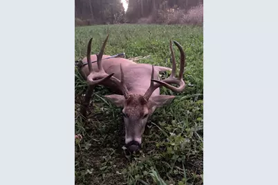 5397 Highway 21 W, Nacogdoches, TX 75964 - Photo 31