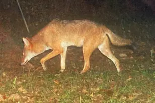 5397 Hwy 21 W, Nacogdoches, TX 75964 - Photo 37