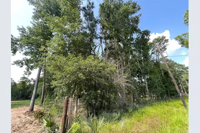 Tbd Payne Road, Conroe, TX 77302 - Photo 9