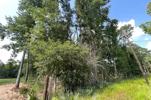 Tbd Payne Rd, Conroe, TX 77302 - Photo 9