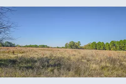 Tbd (Lot 1) Podraza Road, New Waverly, TX 77358 - Photo 15