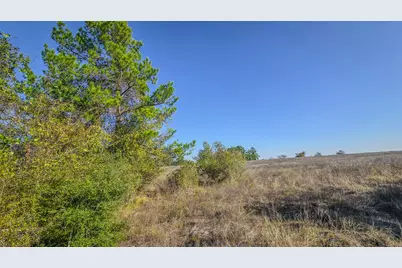 Tbd (Lot 1) Podraza Road, New Waverly, TX 77358 - Photo 7