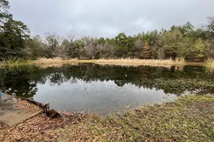 15674 Shatterway Ln, Willis, TX 77318 - Photo 9