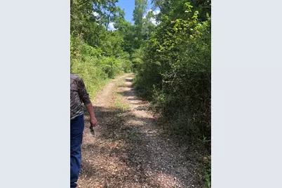 Tbd Block 02 Lot 12, Conroe, TX 77302 - Photo 3