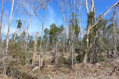 6-2 N Hwy 356, Onalaska, TX 77360 - Photo 21