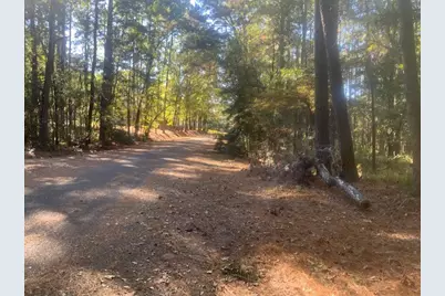 14 Altwood Drive, Coldspring, TX 77331 - Photo 5