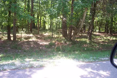 14 Altwood Drive, Coldspring, TX 77331 - Photo 15