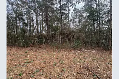 Tbd Eastwood Avenue, Coldspring, TX 77331 - Photo 7