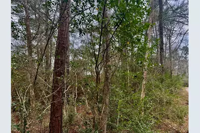 Tbd Eastwood Avenue, Coldspring, TX 77331 - Photo 9