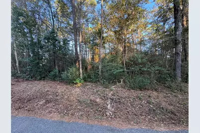 Tbd Eastwood Avenue, Coldspring, TX 77331 - Photo 1