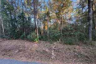 Tbd Eastwood Ave, Coldspring, TX 77331 - Photo 1