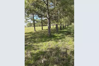 28161 W West US Hwy 90 Highway W, Beaumont, TX 77713 - Photo 3