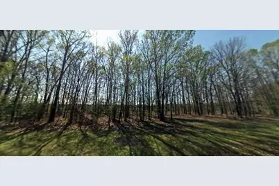 302 Terrell Road, Livingston, TX 77351 - Photo 5