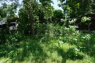 11397 Underwood Street, Willis, TX 77318 - Photo 1