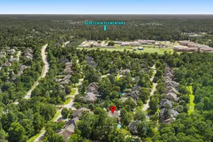 59 E Green Pastures Cir, The Woodlands, TX 77382 - Photo 49