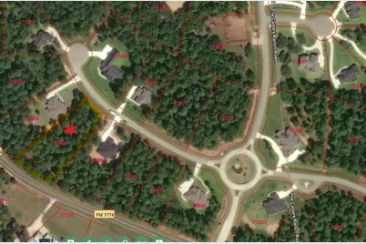 8652 Cedar Meadow Lane, Plantersville, TX 77363 - Photo 1