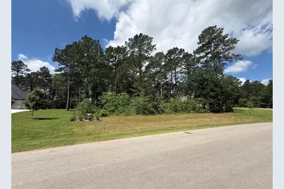 8652 Cedar Meadow Lane, Plantersville, TX 77363 - Photo 1