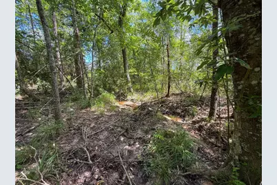Xxx County Road 1450, Warren, TX 77664 - Photo 43