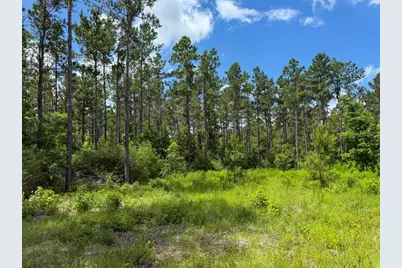 Xxx County Road 1450, Warren, TX 77664 - Photo 29