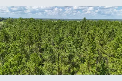 Xxx County Road 1450, Warren, TX 77664 - Photo 17