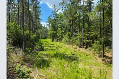 Xxx County Road 1450, Warren, TX 77664 - Photo 47