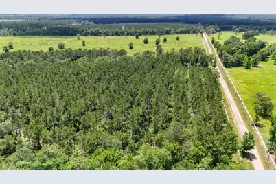 Xxx County Road 1450, Warren, TX 77664 - Photo 19