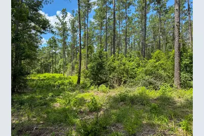 Xxx County Road 1450, Warren, TX 77664 - Photo 35