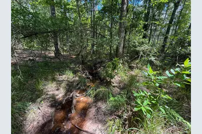 Xxx County Road 1450, Warren, TX 77664 - Photo 39