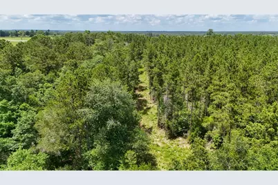Xxx County Road 1450, Warren, TX 77664 - Photo 15